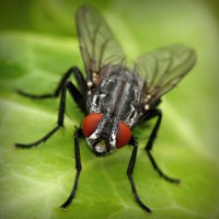 /album/comunicacao-e-informacao/photolia-a01-jpg/