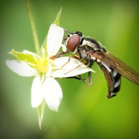 /album/comunicacao-e-informacao/photolia-a02-jpg/