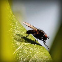/album/comunicacao-e-informacao/photolia-a04-jpg/