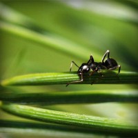 /album/comunicacao-e-informacao/photolia-a05-jpg/