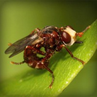 /album/comunicacao-e-informacao/photolia-a06-jpg/