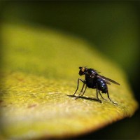 /album/comunicacao-e-informacao/photolia-a07-jpg/