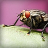 /album/comunicacao-e-informacao/photolia-a08-jpg/